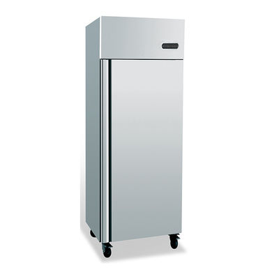 호텔을 위한 600*800*2000mm 단일의 도어 냉동고 냉장고