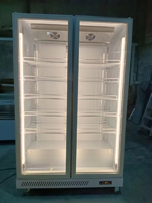 1000L 상업용 유리 문 냉장고와 R290 냉장기 정면 냉장고